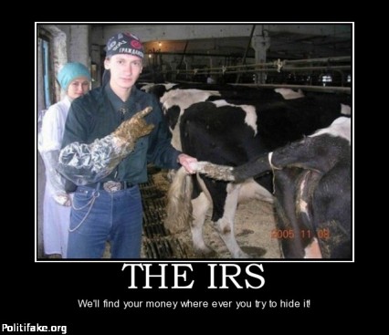 IRS your money the-irs-irs-taxes-hiding-cows-funny-politics-1315162596 Politifake
