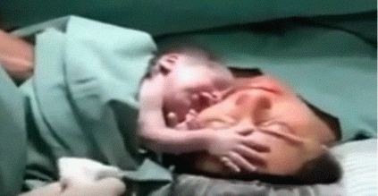 Newborn does not want to leave his mother